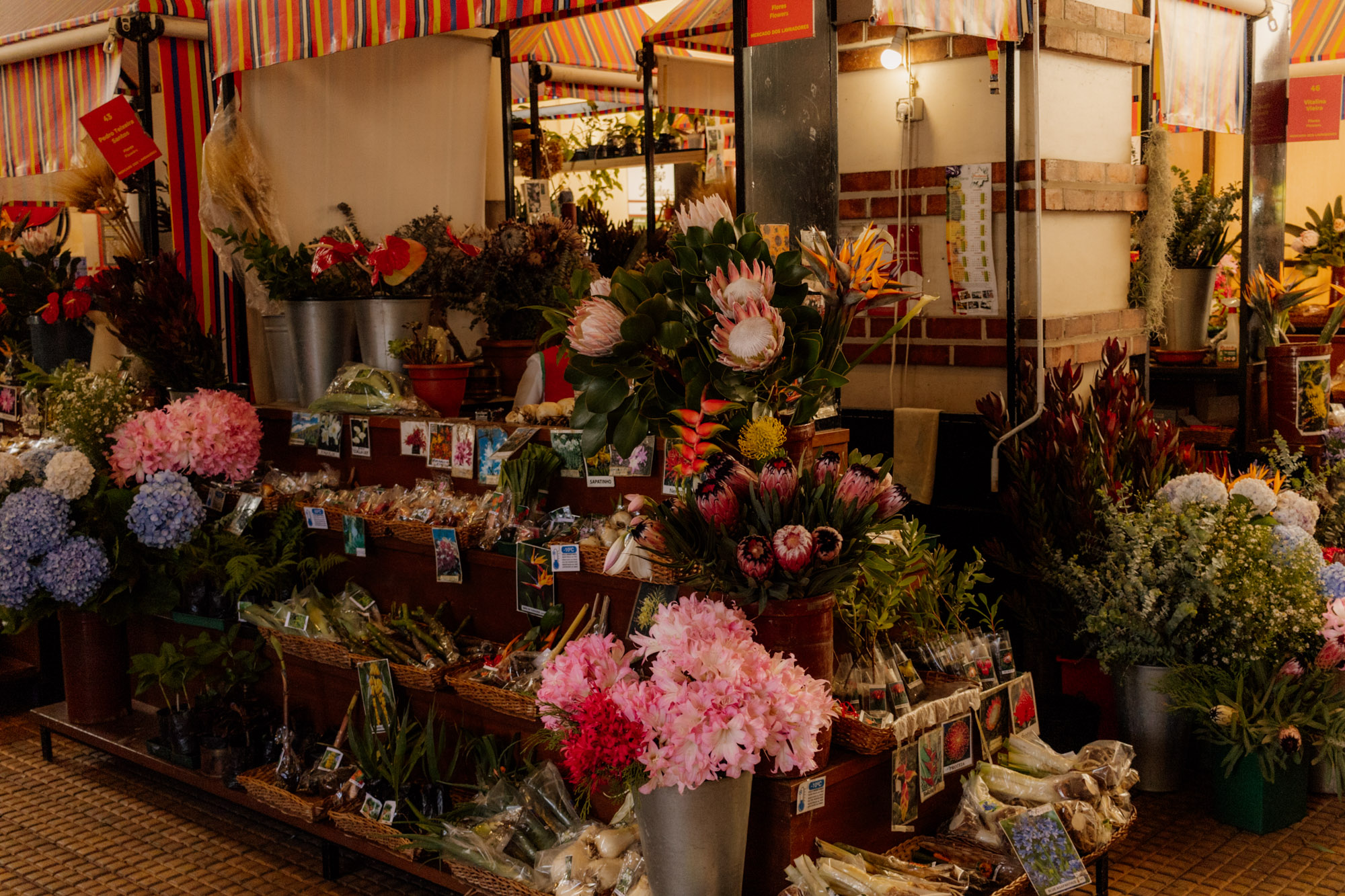 Flores no mercado dos Lavradores, Madeira