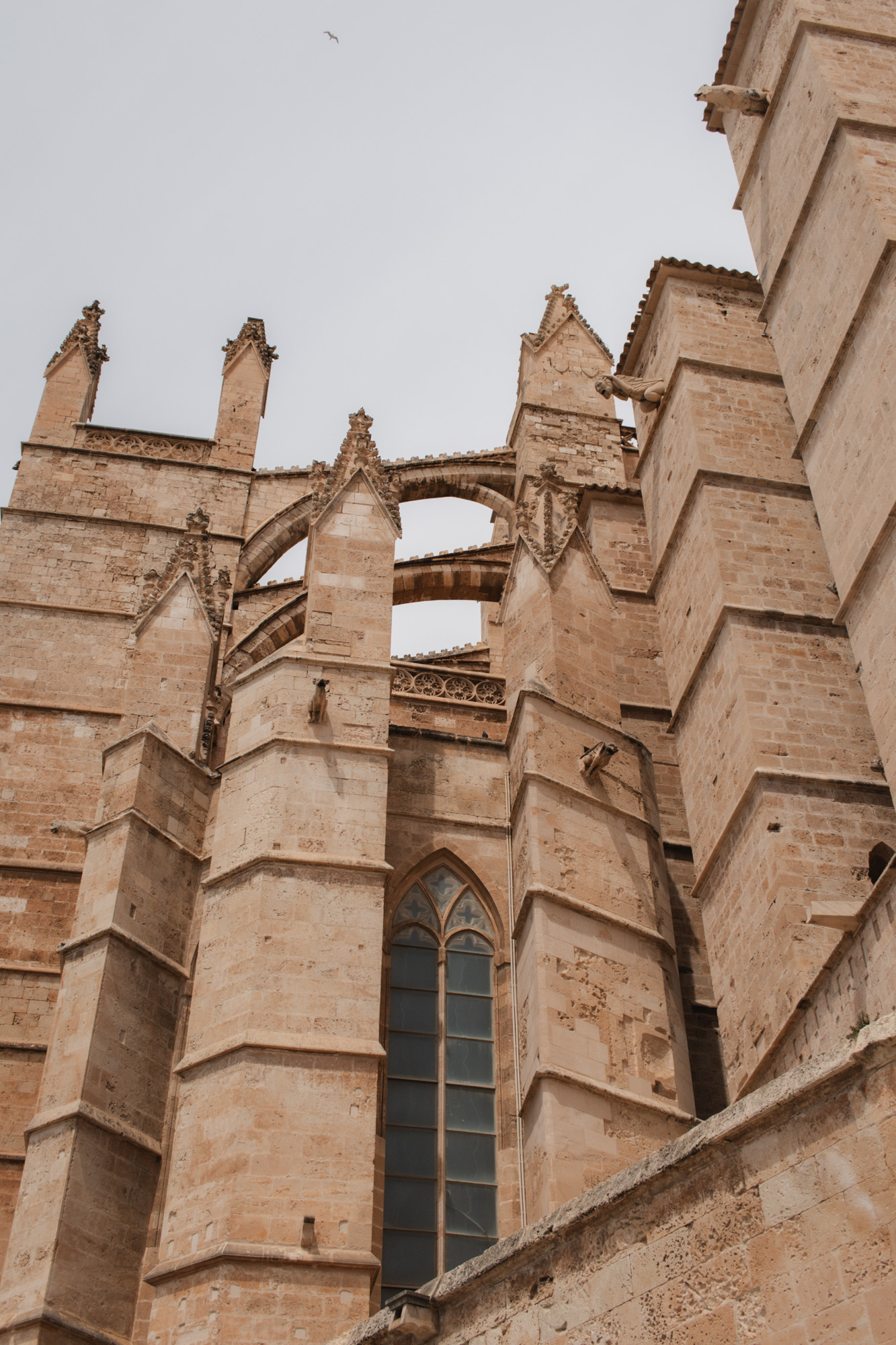 Pormenor Catedral de Palma