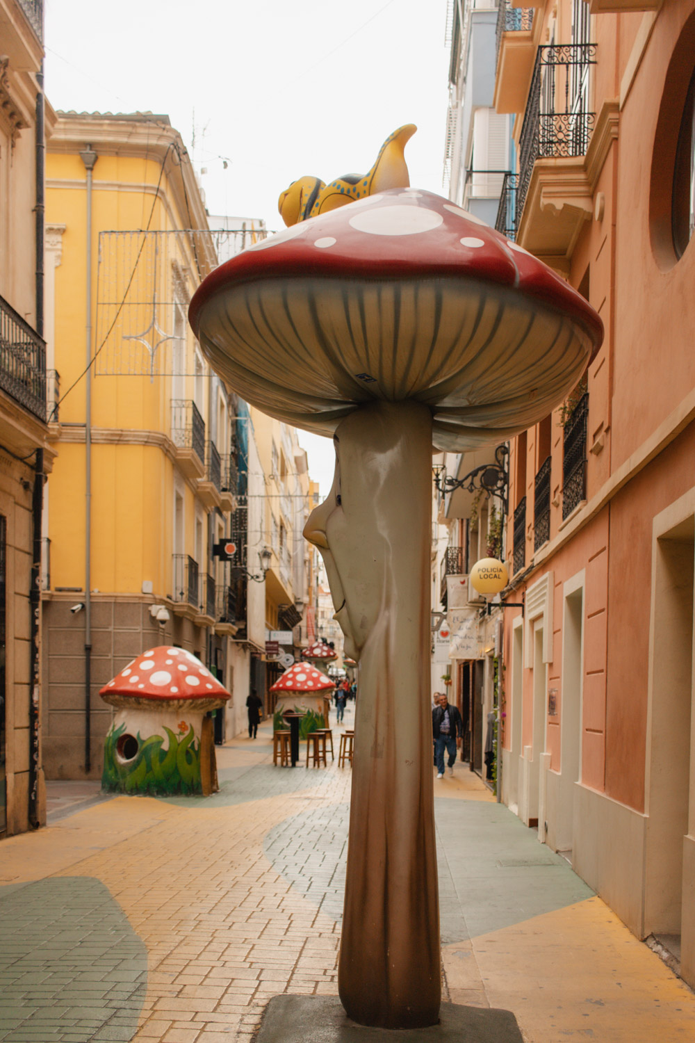 Carres des bolets Alicante